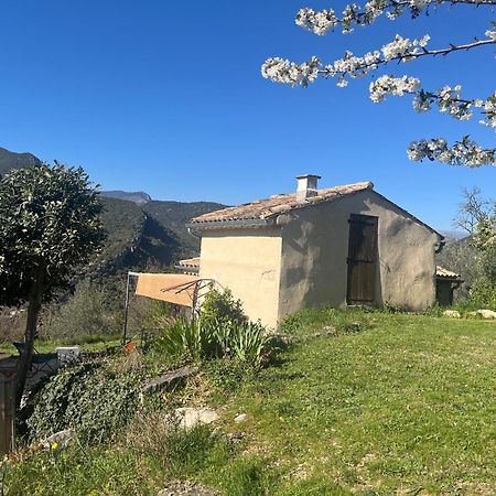 Cabanon Entoure De Montagnes Et D'Oliviers Villa Nyons Bagian luar foto