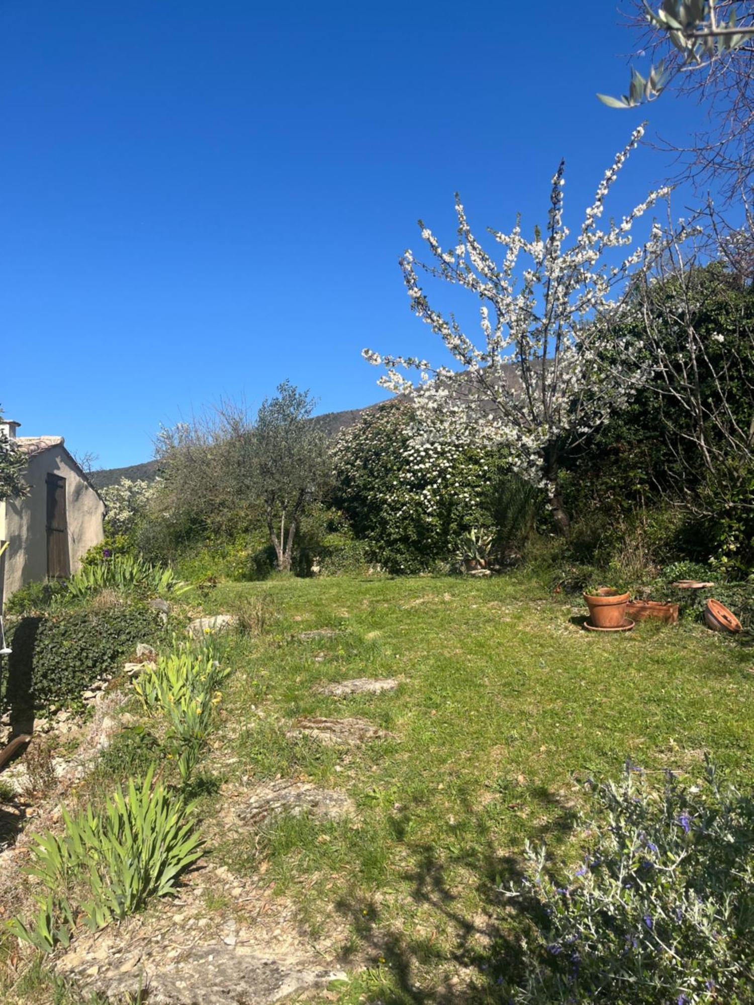 Cabanon Entoure De Montagnes Et D'Oliviers Villa Nyons Bagian luar foto