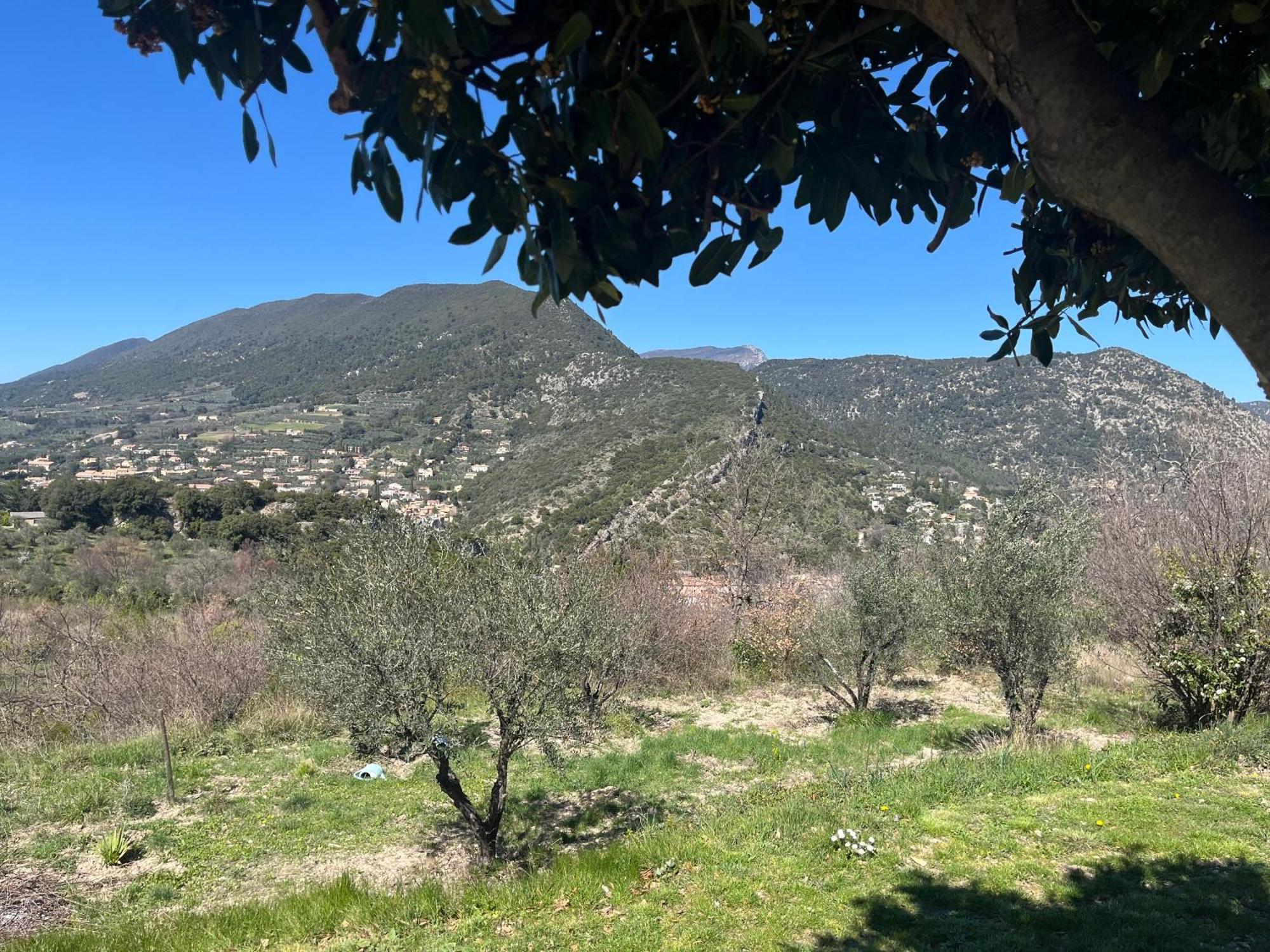 Cabanon Entoure De Montagnes Et D'Oliviers Villa Nyons Bagian luar foto